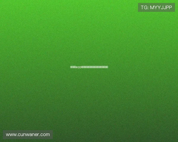 新濠棋牌app官网：官方平台登录流程详解与使用技巧